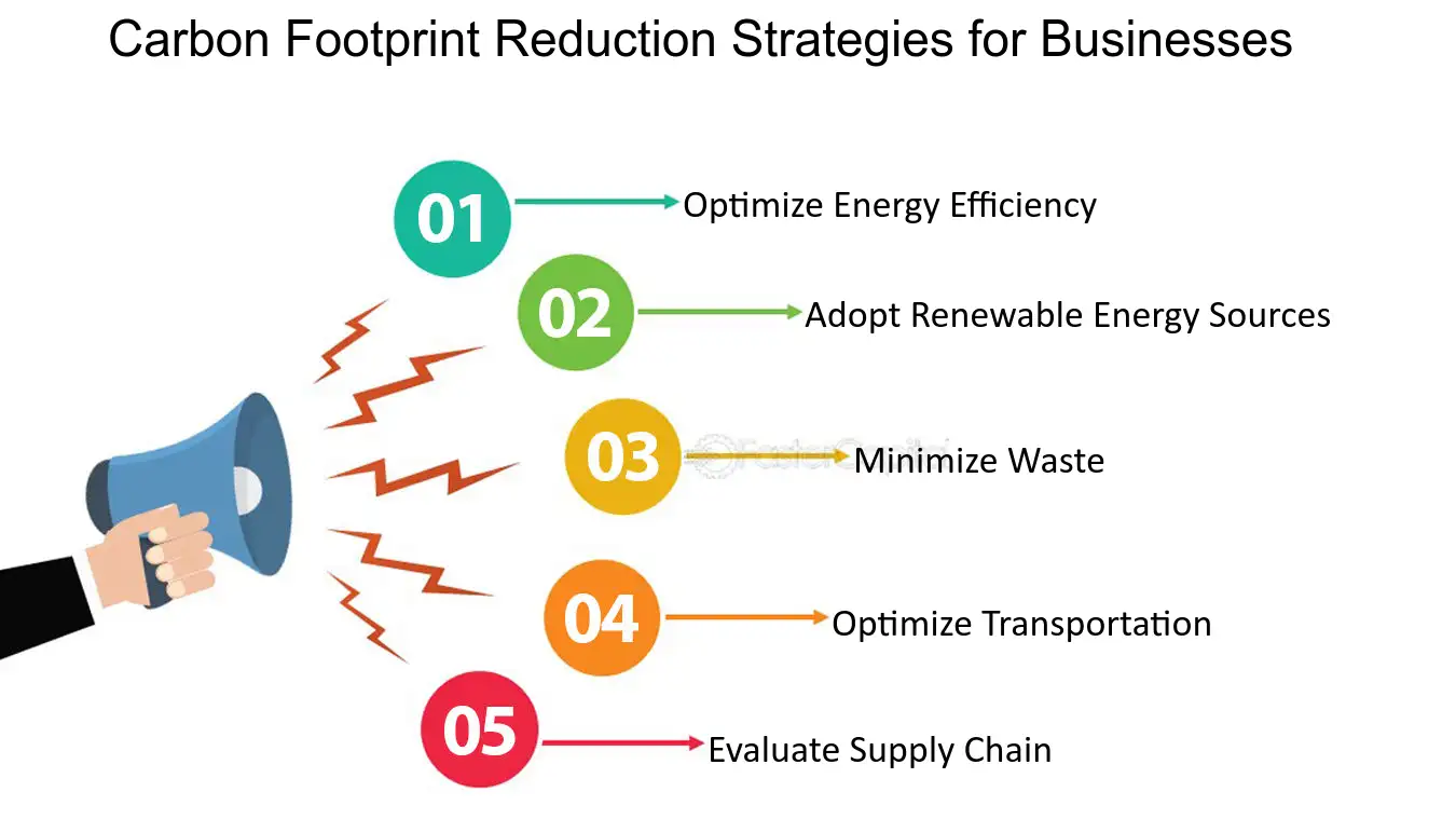 Carbon Footprint Reduction: Practical Steps for Mid-Sized Businesses